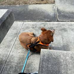 Mittagspause auf der Rückfahrt