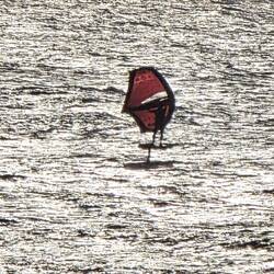 Hydro foils gliding over the waves