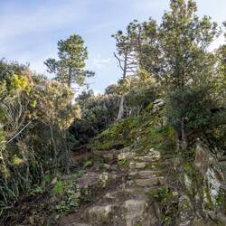 Stufen ist wirklich eine wohlwollende Bezeichnung 😉