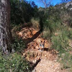 Da geht auch ein Weg hoch