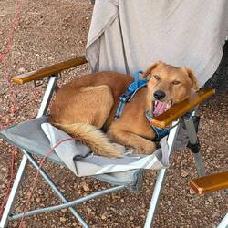 Sorry! This chair has been taken