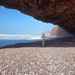 Long beach walk with Esperanto. We let him run! And my god does he run!