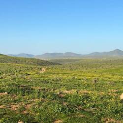 We are flabbergasted by the green landscape as we cross over to the coast: previously brown and dry.