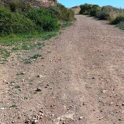 Der bessere aber falsche Weg