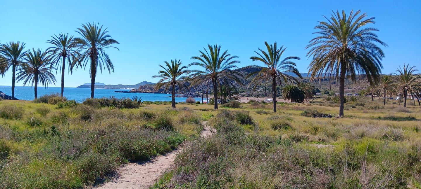 Unsere geliebte Schlangenbucht