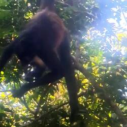 Und dann bekamen wir Besuch.