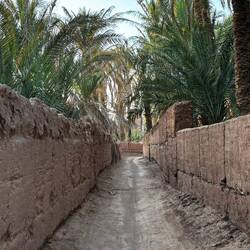 Walking around the incredibly dry area