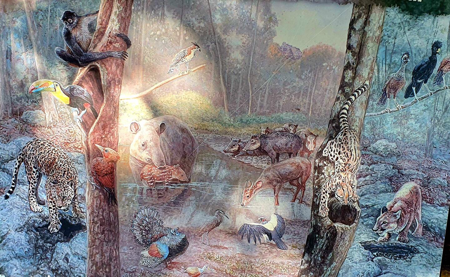 Das Tierchen waren alle irgendwo im Dschungel gewesen.