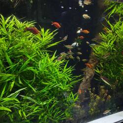 Die gibt es in Schlöben auch...