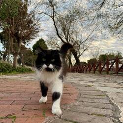 Фото из 2024 года 🥰