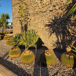 Überall nette Sitzgelegenheiten, die Stadt tut was😎