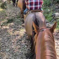 My horse wouldn't stop sneaking in snacks