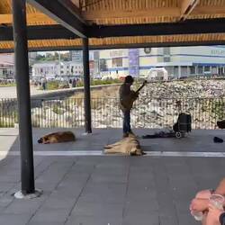 Didn't realize there was a bike race until this exact moment