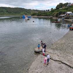 This was an area right by the market where people were feeding scraps to the sea lions