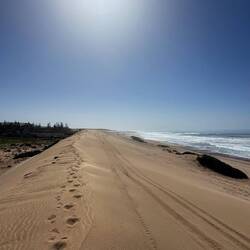 Riesig das Ding! 👏