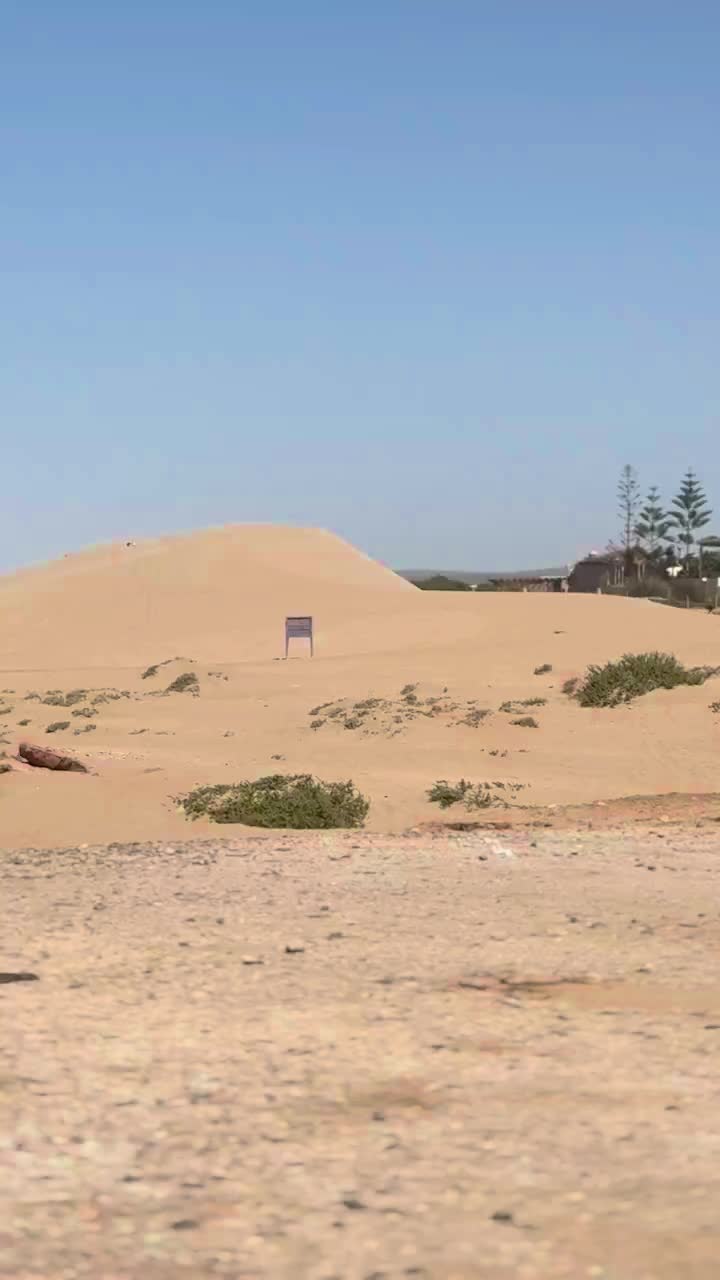 Horst möchte, dass ich wen mit ins Wasser nehme! 🤣