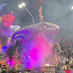 [VIDEO] Samba auf einer riesigen Kobra 🐍