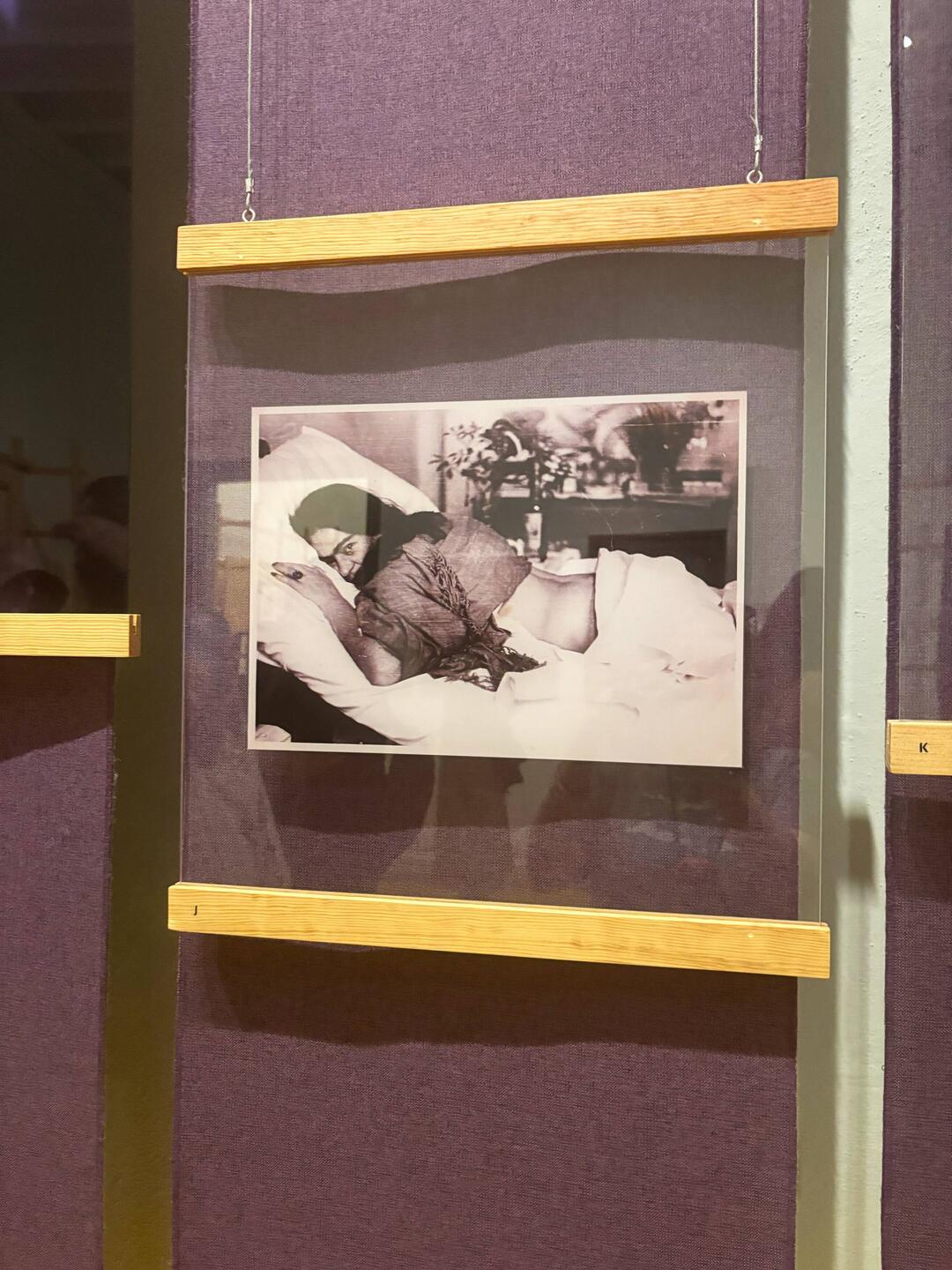 Frida spent a lot of time bedridden during certain points in her life.She coped w/art & courage