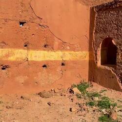 War will der Vogel? 🤣🤣