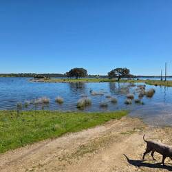 Die Zufahrt ist eher schwierig. Knapp Knietief.
