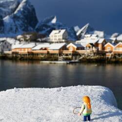 Hier noch eins vom Tag