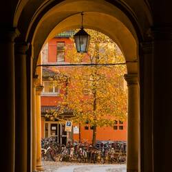 Palazzo Hercole ... University of Bologna.