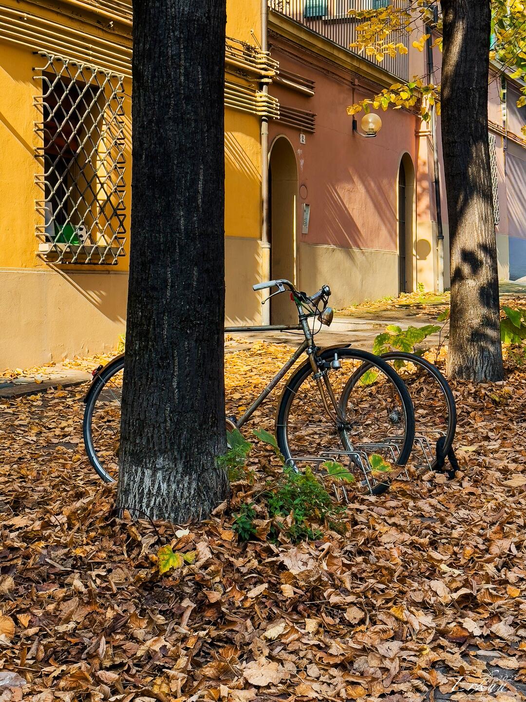 Fall is in the air — Bologna, Italy.