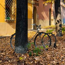 Fall is in the air — Bologna, Italy.