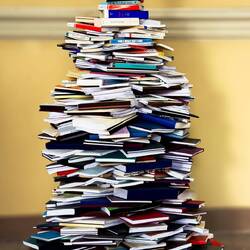 Christmas tree ... Palazzo Hercole ... University of Bologna.