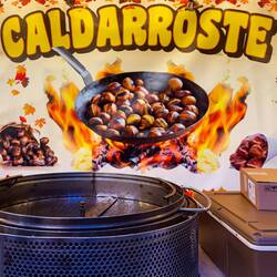 Too bad they have not started roasting chestnuts yet — Bologna, Italy.