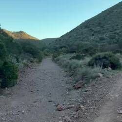 Das war gestern bei der Abendrunde