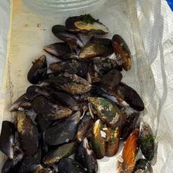 Die heutige Beute! 💪