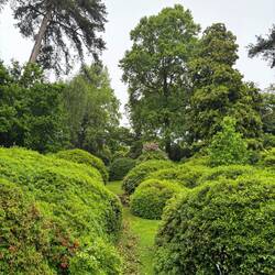The Saxe-Meningen garden, sadly the flowering period had just finished!
