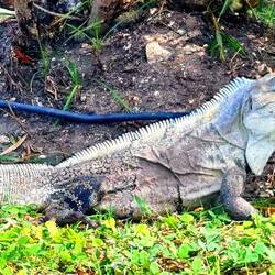 Der stand einfach mal so da.