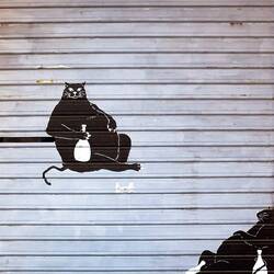 Mural en route to the luggage storage place — Bologna, Italy.