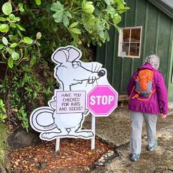 No rats allowed on Ulva