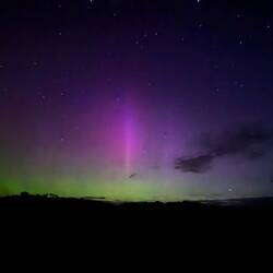 Kiwis and the aurora at the same time
