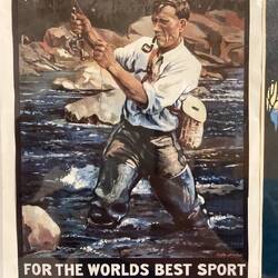 An image of the male kiwi - even today, I expect