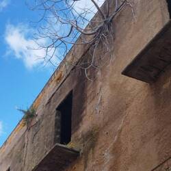 Die Natur holt sich alles zurück