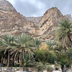 Blick zum Jabal Shamps