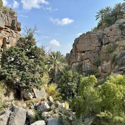 Tal von Wadi Al-Saq