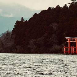 berühmtes rotes Torii-Tor beim Hakone Schrein