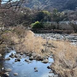 Mittagessen mit Blick auf den Fluss Haya