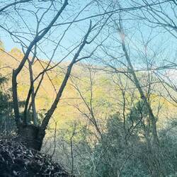 Blick aus dem Bus auf der Rückfahrt