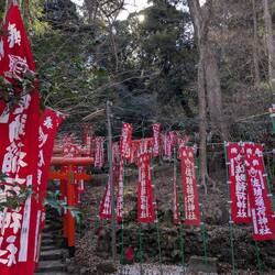 Sasuke Inari Schrein