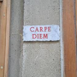 Cogli la rosa quando è il momento