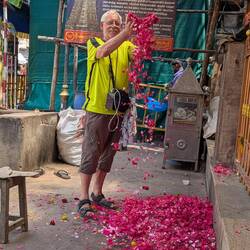 Lass Rosenblätter regnen