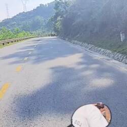 Eine Herde Wasserbüffel 🙈