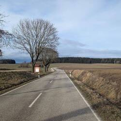 Ein Hauch von Frühling
