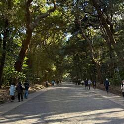Another beautiful park, quite serene.